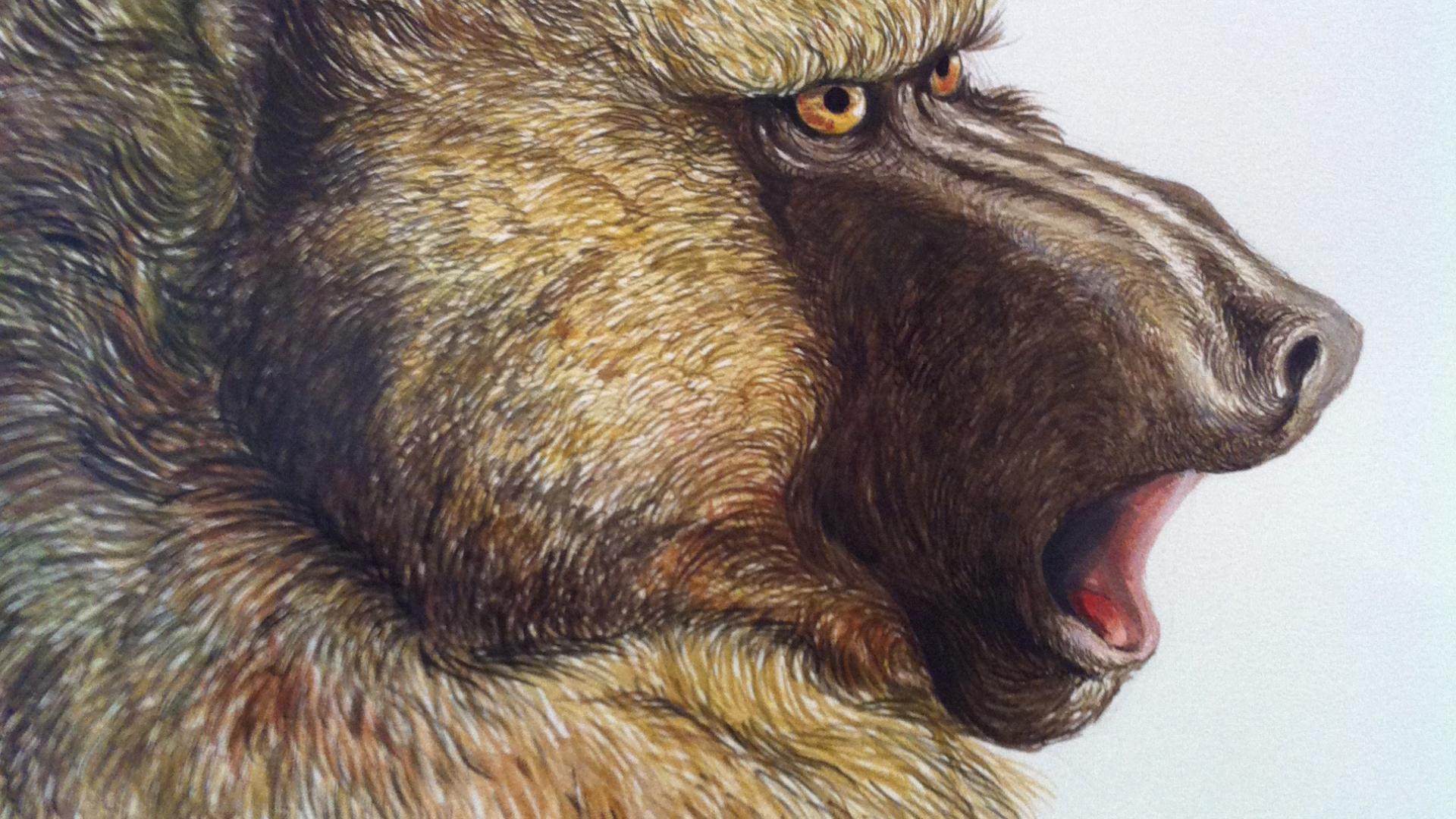Obra de Mariana Vadell