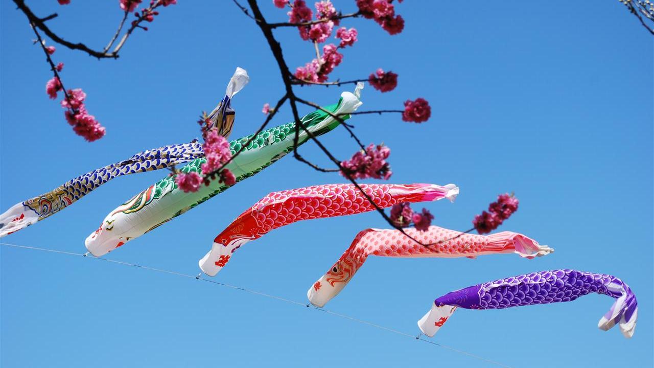 Koinobori