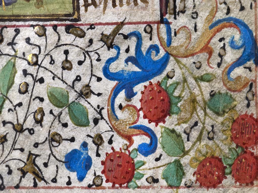Detalle libro iluminado