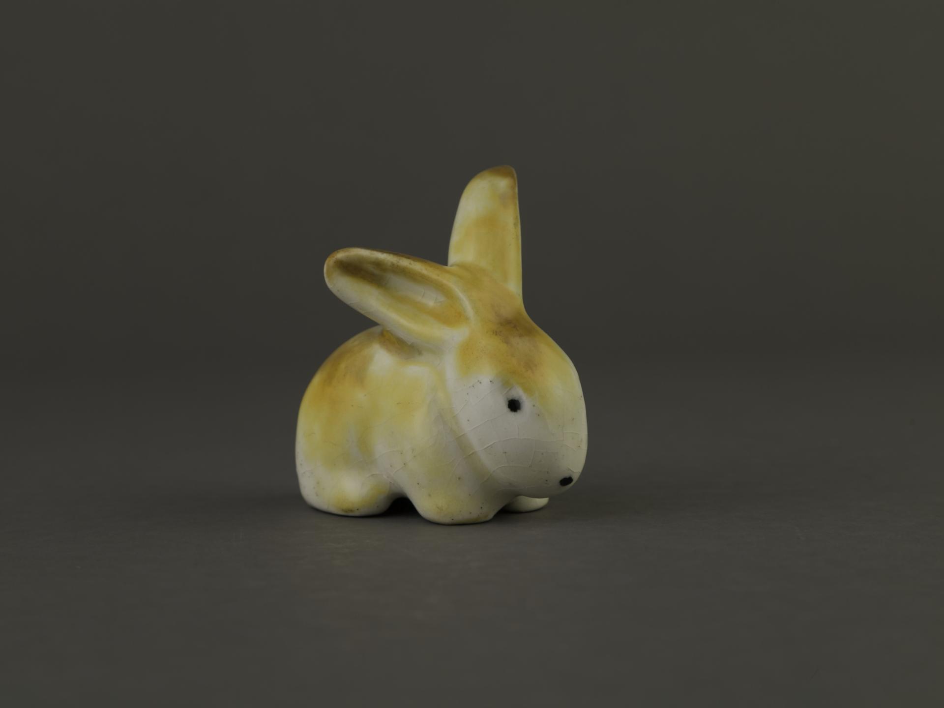 conejo
