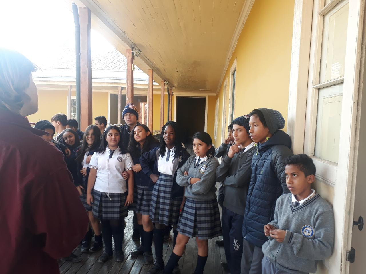 Visita mediada