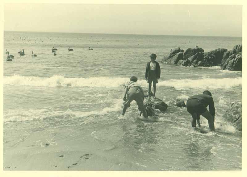 Retrato grupal en la orilla del mar