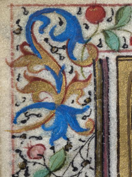 Marco decorativo 5 Marco decorativo 5