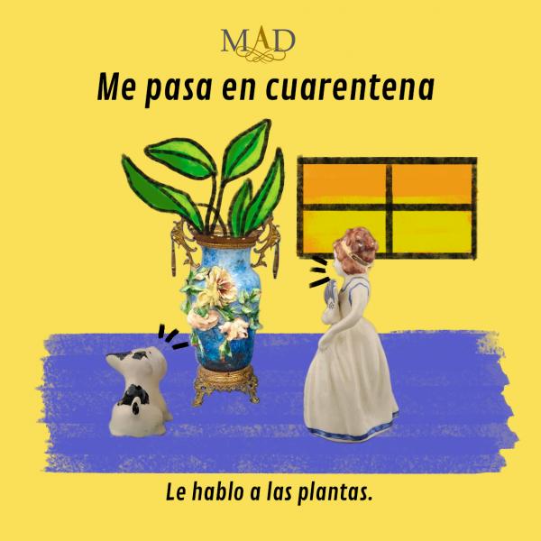 Le hablo a las plantas