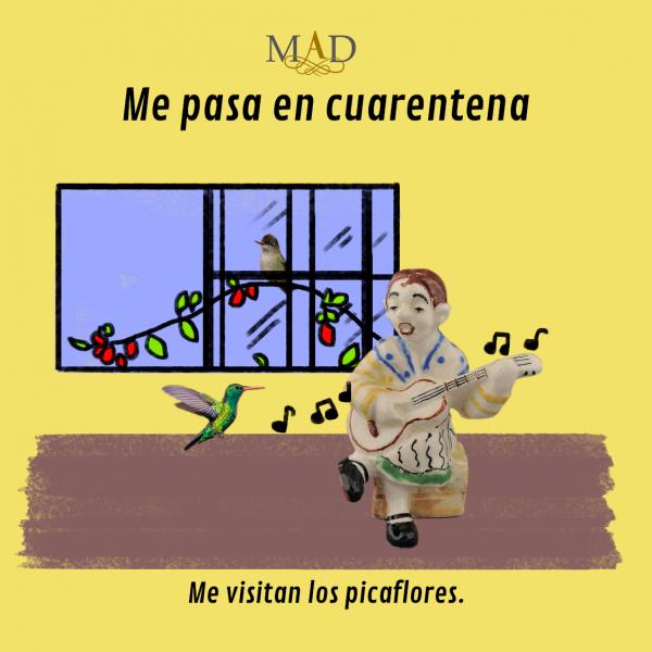 Me visitan los picaflores