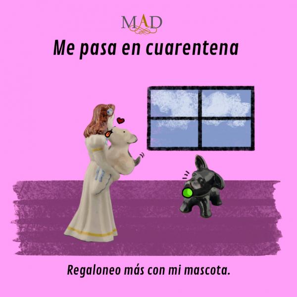 Regaloneo más con mi mascota