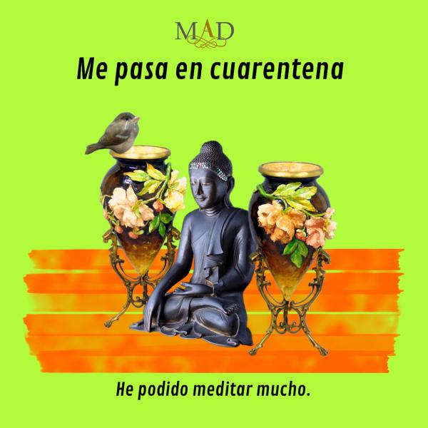 He podido meditar mucho