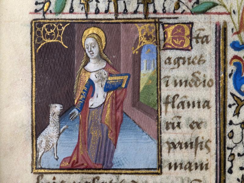 Santa Inés Santa Inés