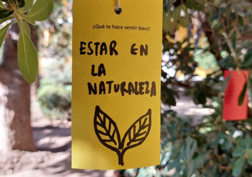 Actividad de mediación